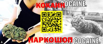 СК Волгодонск