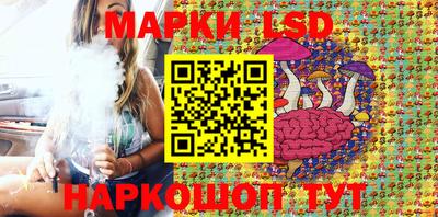 СК Волгодонск
