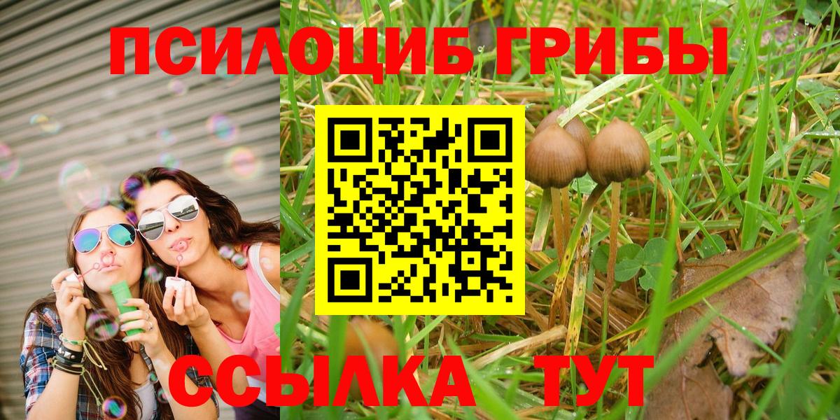 Галлюциногенные грибы Cubensis Дмитров